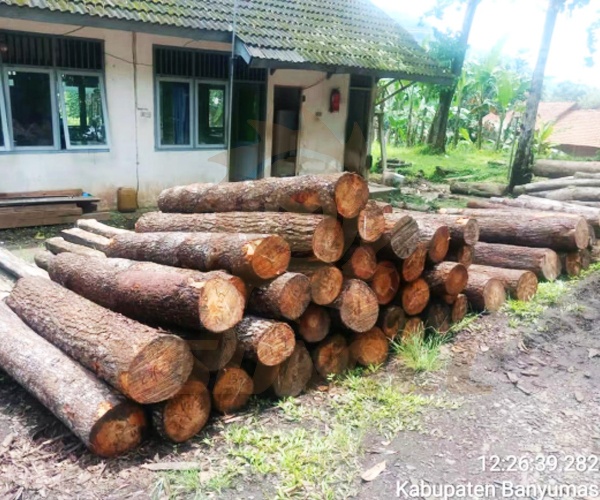 Raw Material Size-2