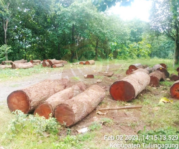 Raw Material Size-1