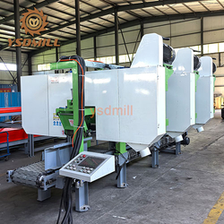 Multi head horizontal resaw machine (2).jpg